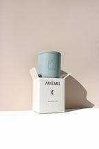 Longitude Soy Candle
