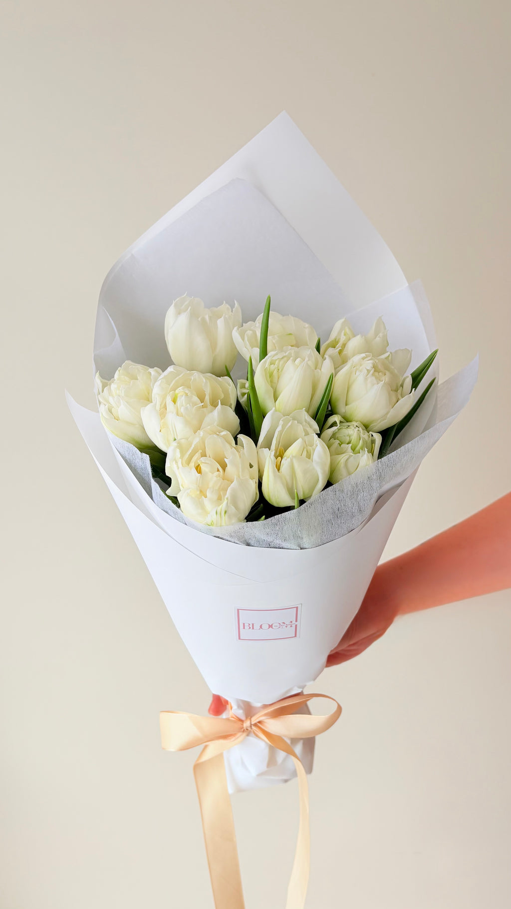 Tulips De Boer