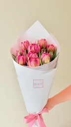 Tulips De Boer