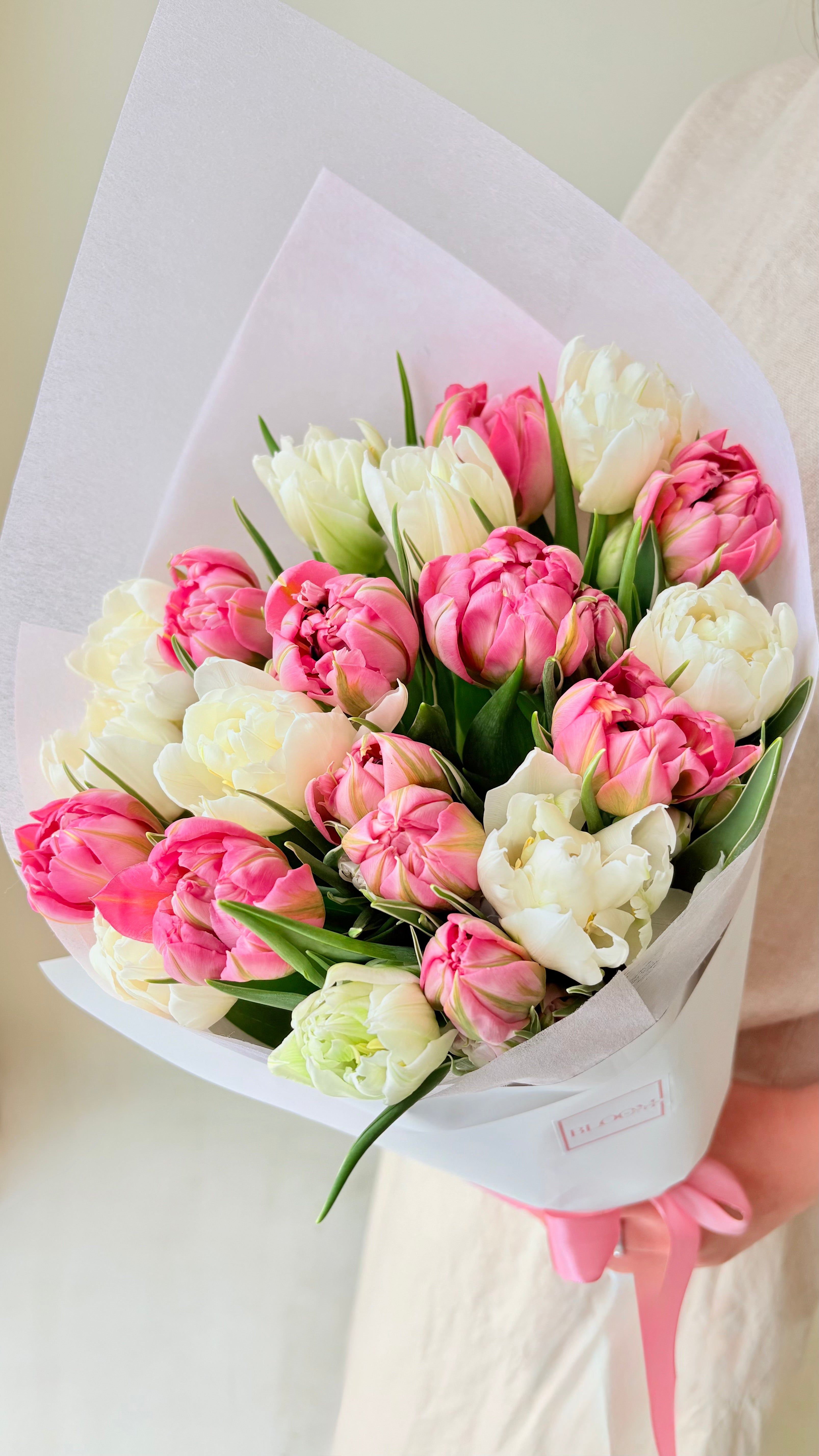 Tulips De Boer